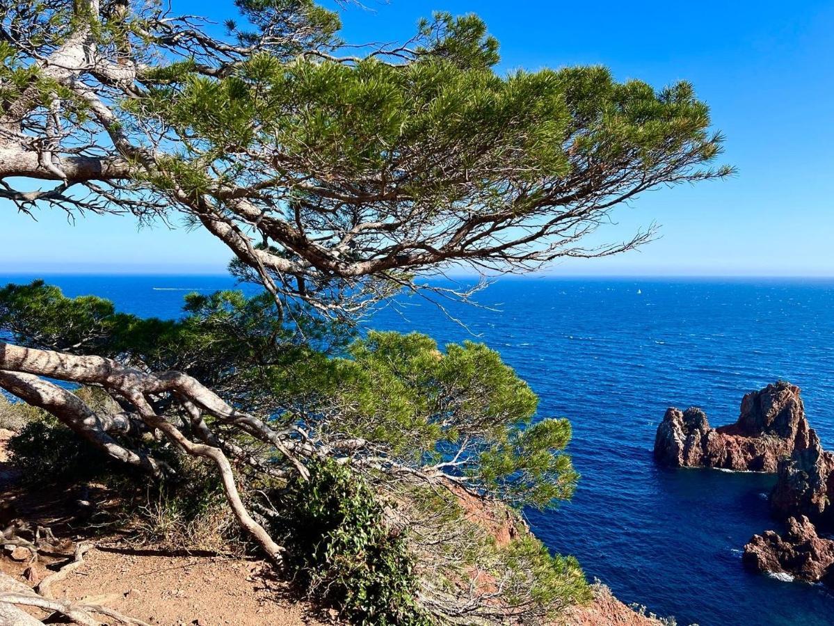 Les Cactus Frejus Plage المظهر الخارجي الصورة