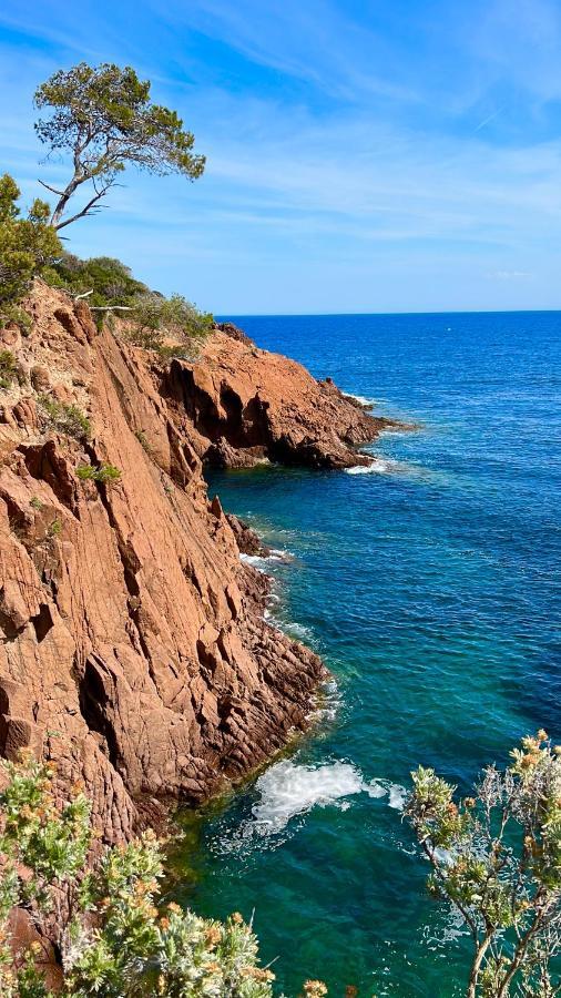 Les Cactus Frejus Plage المظهر الخارجي الصورة