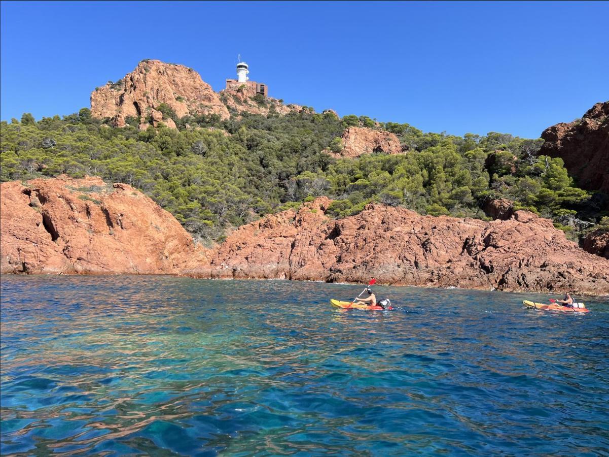 Les Cactus Frejus Plage المظهر الخارجي الصورة