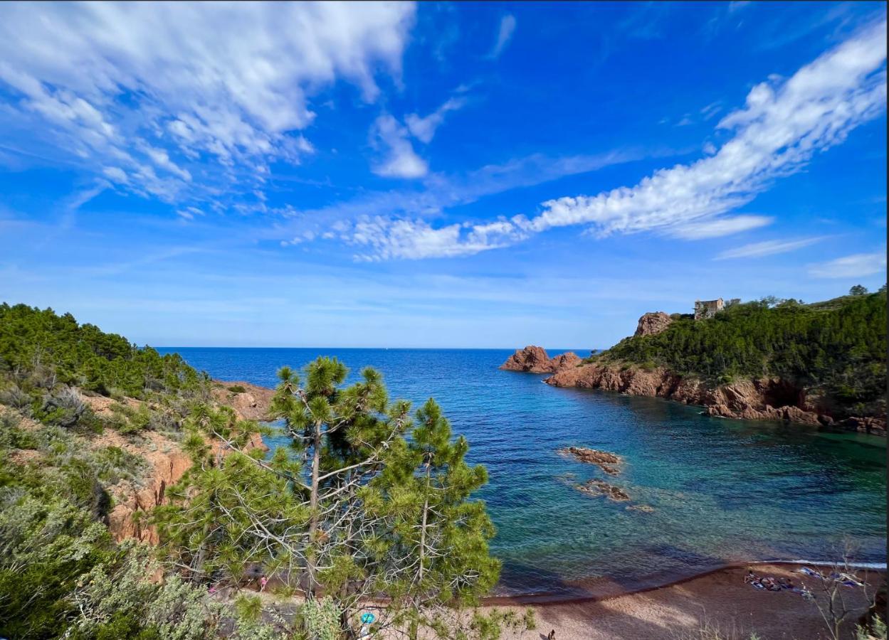Les Cactus Frejus Plage المظهر الخارجي الصورة
