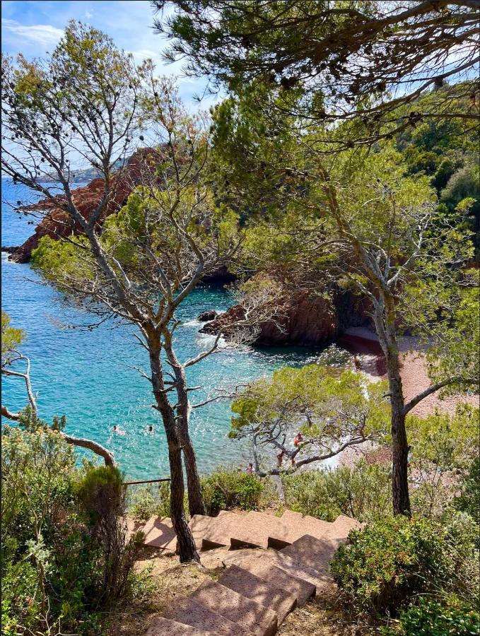 Les Cactus Frejus Plage المظهر الخارجي الصورة