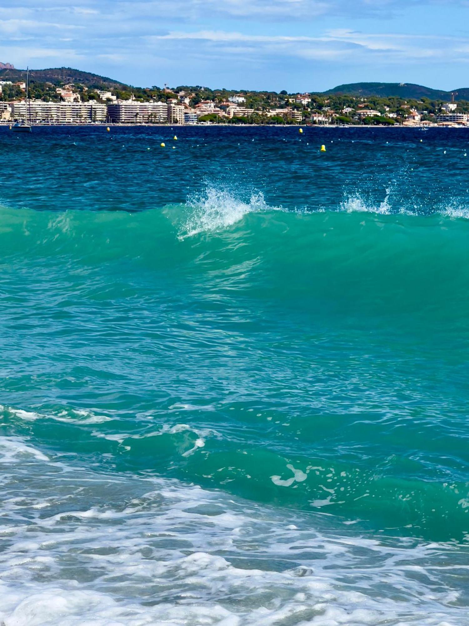 Les Cactus Frejus Plage المظهر الخارجي الصورة